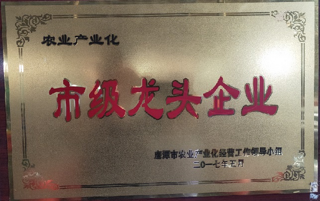 江西華碩包裝有限公司核心榮譽(yù)