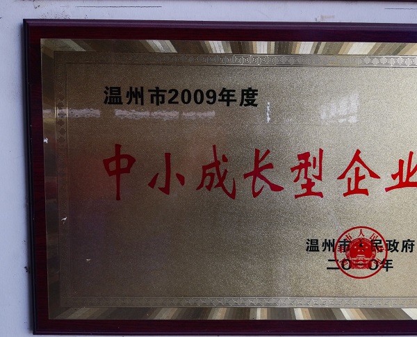 江西華碩包裝有限公司核心榮譽(yù)